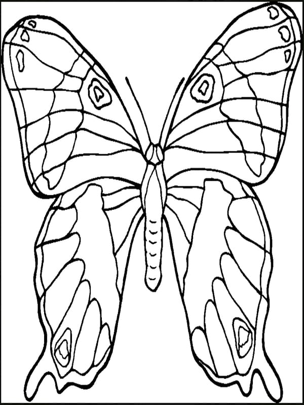 Butterfly Coloring book Animals That Hibernate Child Adult, gummy bear coloring pages transparent background PNG clipart