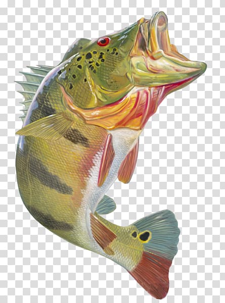 Peacock bass Largemouth bass Bass fishing Decal, fish jumping transparent background PNG clipart