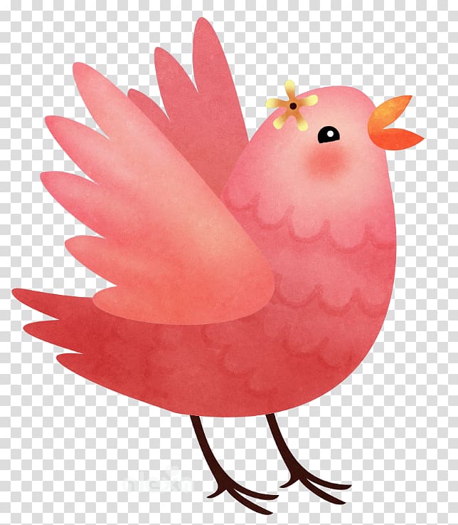 Chicken Bird Phasianidae Rooster Beak, bird pink transparent background PNG clipart