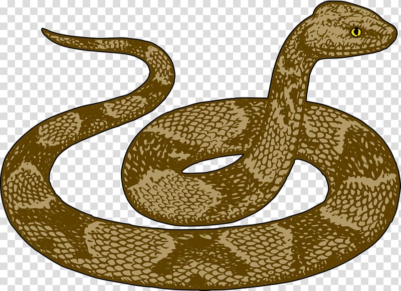 Snake Free content , Scary Python transparent background PNG clipart