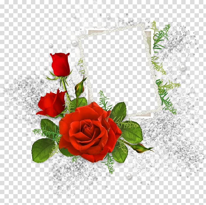 Transparent Lace with Roses PNG Clip Art Image​