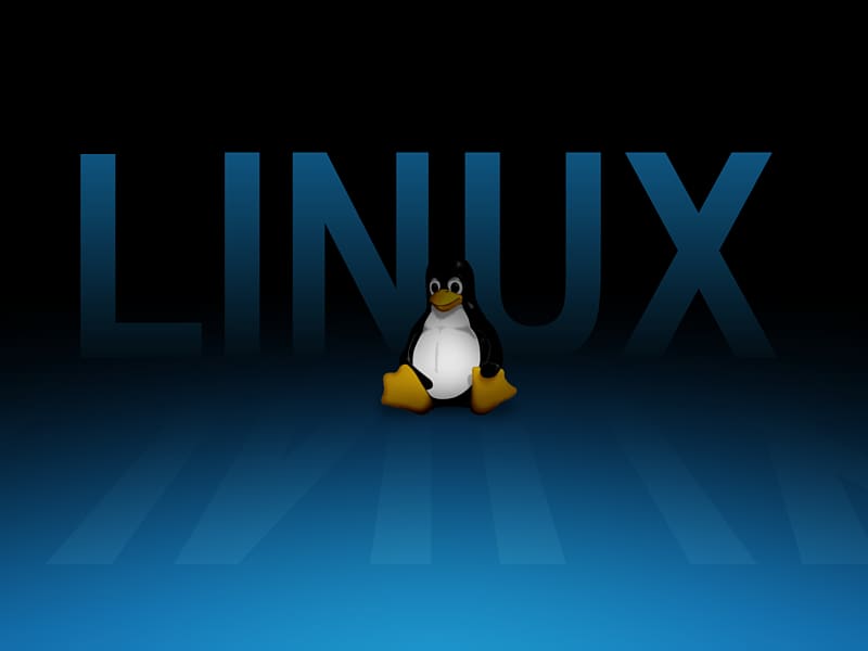 Penguin Tux Linux Desktop Display resolution, linux transparent background PNG clipart