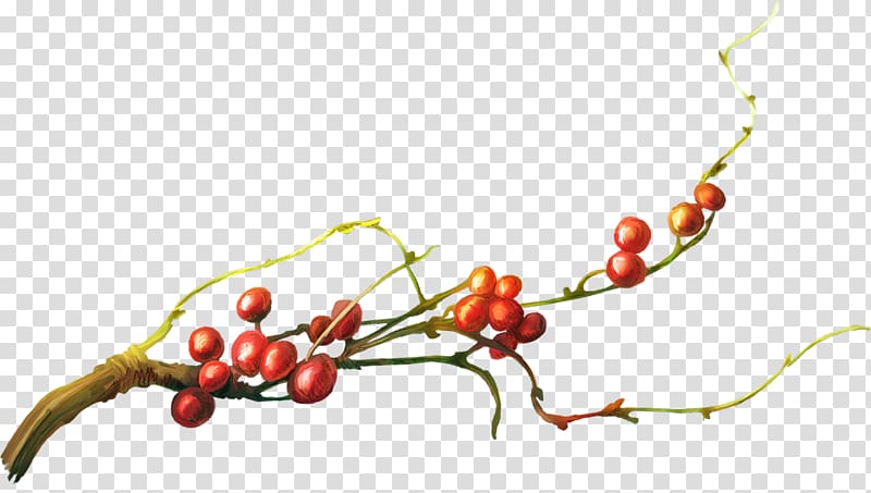 Tree Cherry Branch, Cherry tree ah transparent background PNG clipart