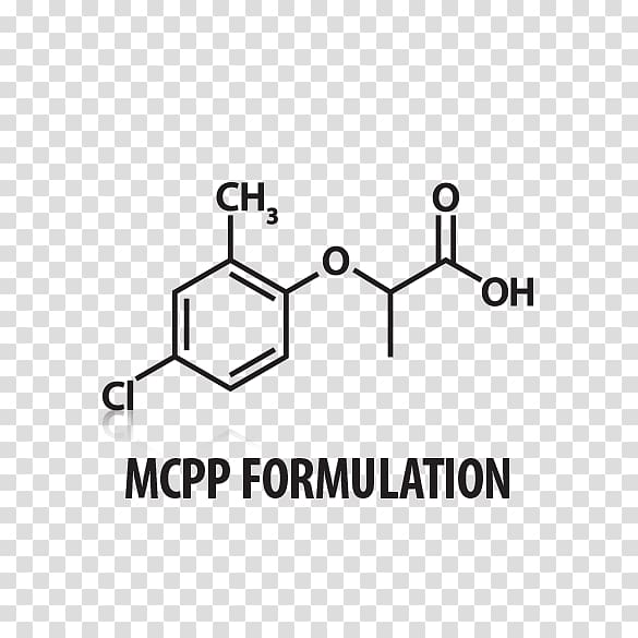 Ferulic acid Phenols Benzoic acid Hydroxycinnamic acid, Chickweed transparent background PNG clipart