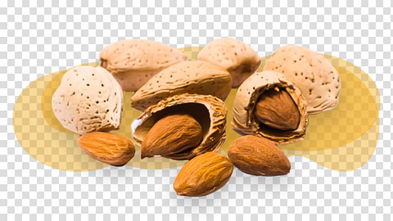 Nuts Almond Peel Auglis, Almendras transparent background PNG clipart