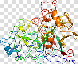 Tree Line , tree transparent background PNG clipart thumbnail