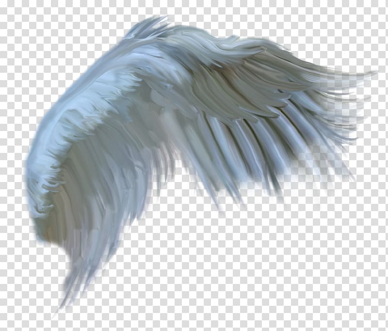Digital art Flight Feather, Drawing Angel transparent background PNG clipart