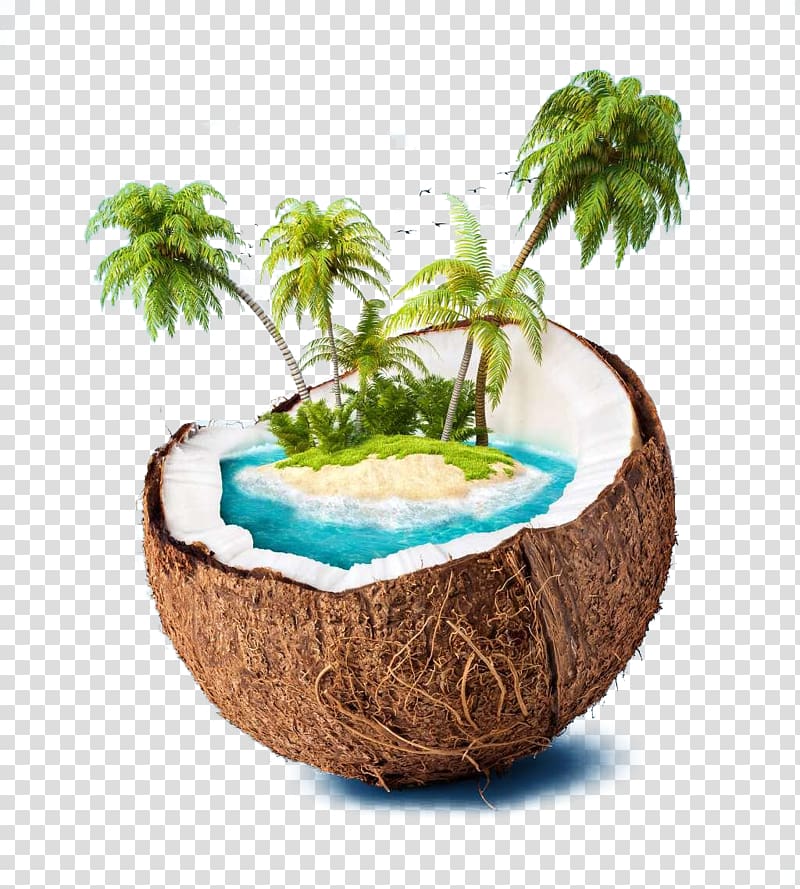 coconut with island inside digital art, Coconut Island Coconut water High-definition television , Creative coconut palm transparent background PNG clipart