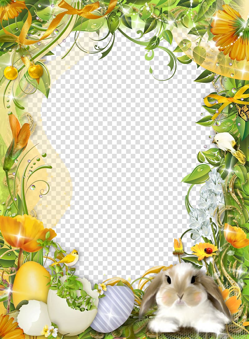 frame template design pattern transparent background PNG clipart