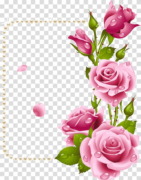 Garden roses Frames Flower Paper, rose transparent background PNG clipart