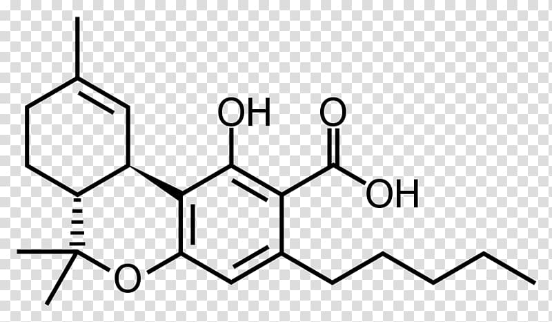 Tetrahydrocannabinolic acid Cannabinoid Cannabigerol Cannabis, cannabis transparent background PNG clipart