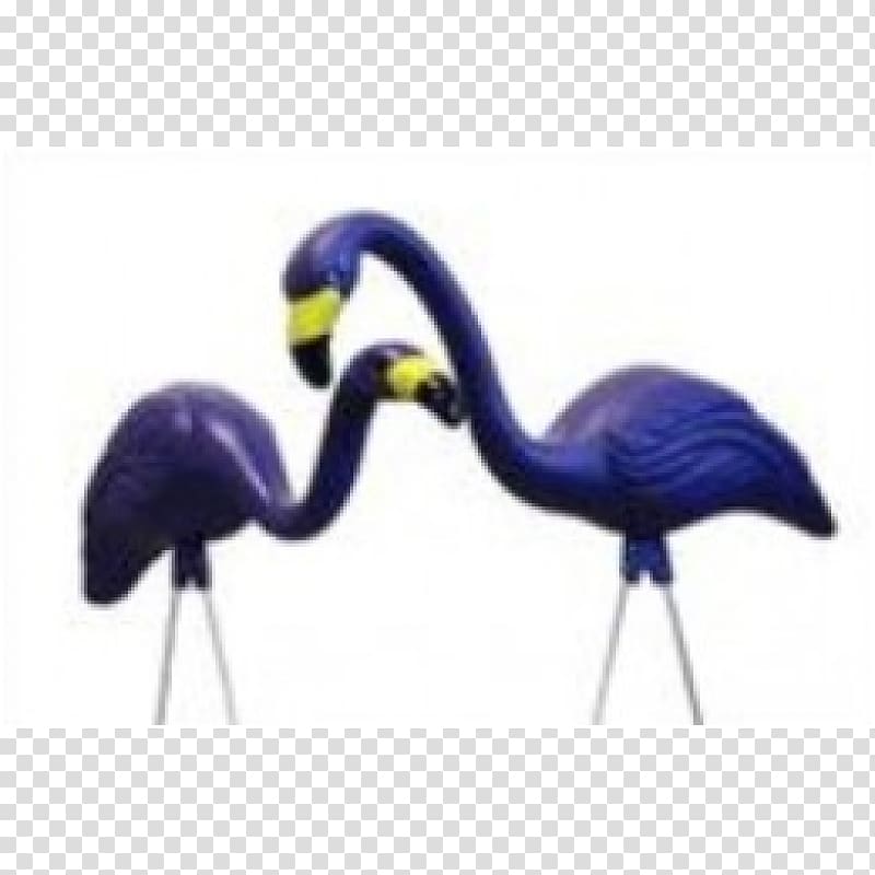 Flamingo Baltimore Orioles Bird Baltimore Ravens Lawn Ornaments & Garden Sculptures, flamingo transparent background PNG clipart