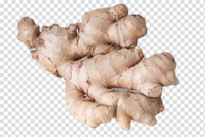 Ginger Eating Food Health Nausea, HD Closeup of Ginger transparent background PNG clipart