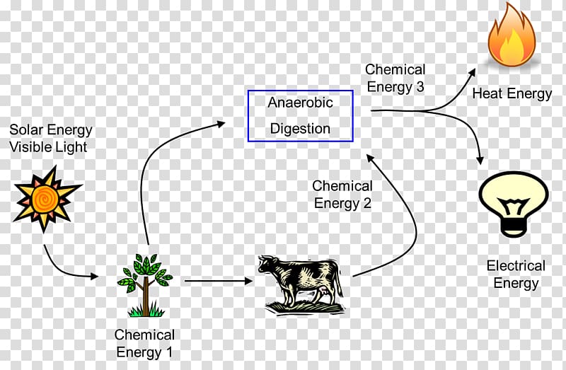 energy-transformation-energy-flow-solar-energy-electrical-energy-plant