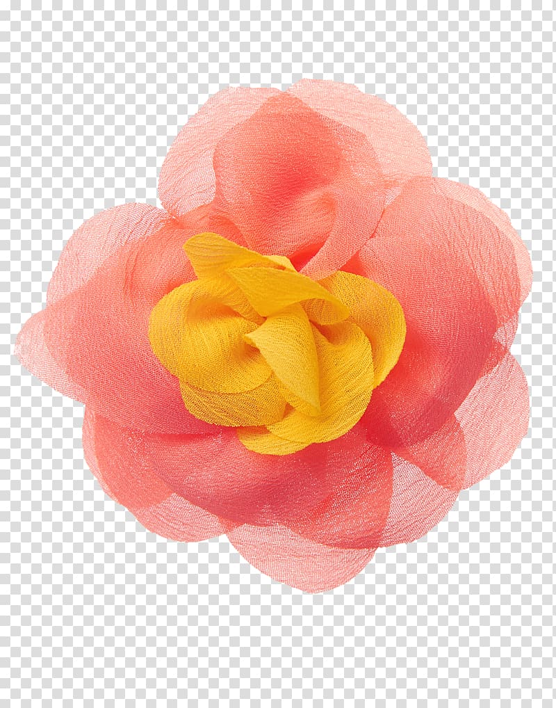 Garden roses Cut flowers Petal, peach blossom transparent background PNG clipart