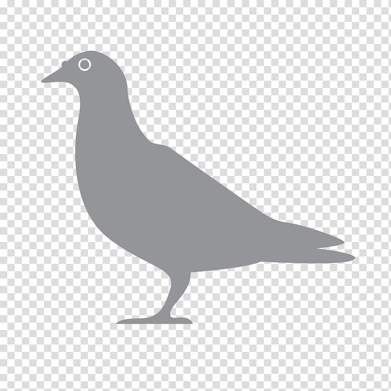 Pest Exterminator Beak Bird Pigeons and doves, exterminator logo transparent background PNG clipart