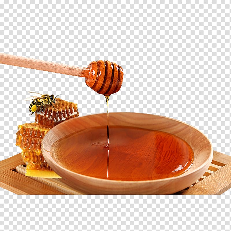 European dark bee Honey bee, Real honey bee products transparent background PNG clipart