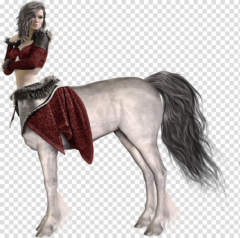 Centaur transparent background PNG clipart