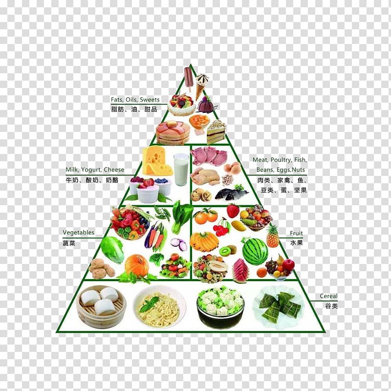 healthy food pyramid