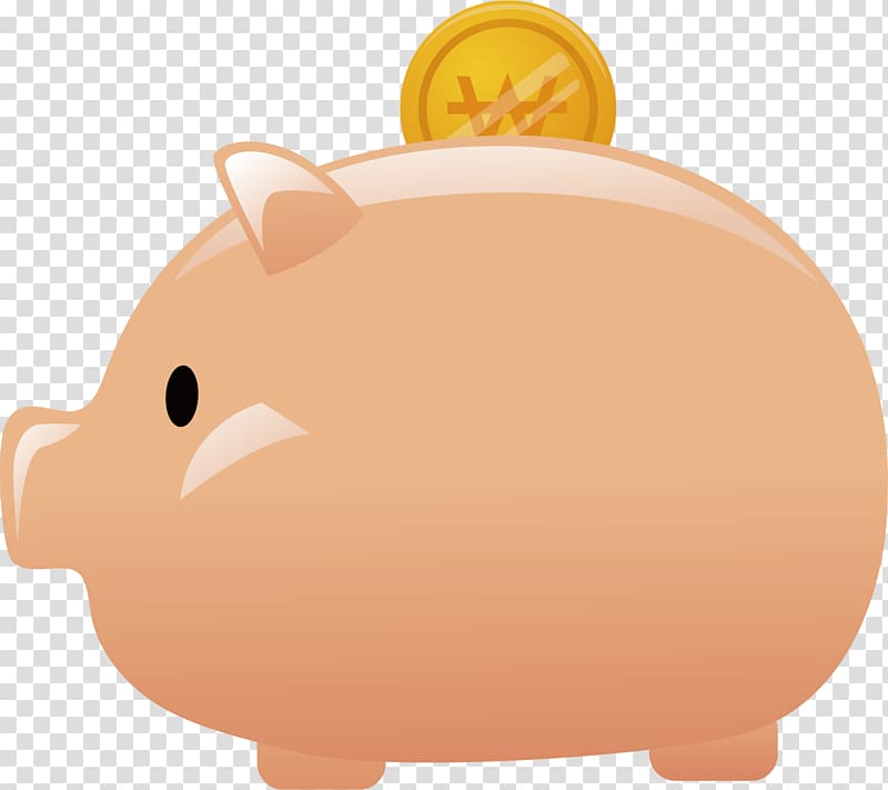Domestic pig Piggy bank Computer file, material piggy bank transparent background PNG clipart