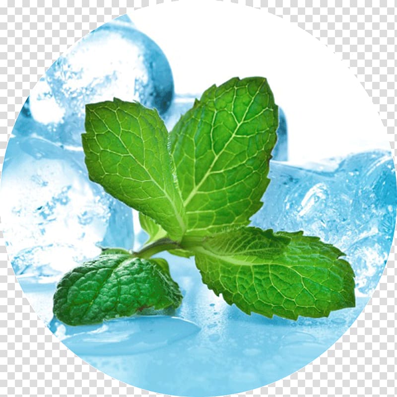 Menthol Lemonade Mint Hookah Chewing gum, lemonade transparent background PNG clipart