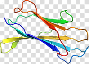 Line Point Organism , line transparent background PNG clipart thumbnail