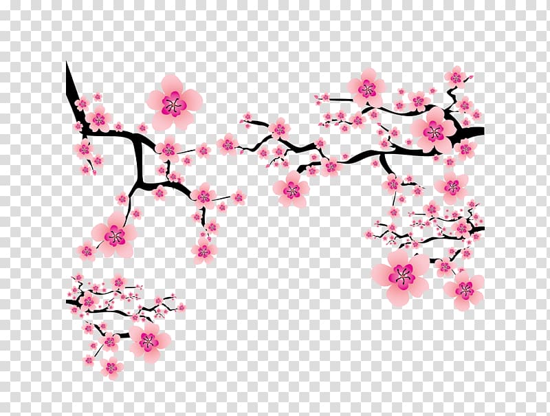 Cherry blossom Plum blossom , pink Japanese elements cherry blossom branches dress up, pink floral artwork transparent background PNG clipart