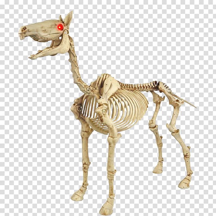 Horse Light Halloween Skeleton Pony Horse Transparent Background - roblox horse skull mask