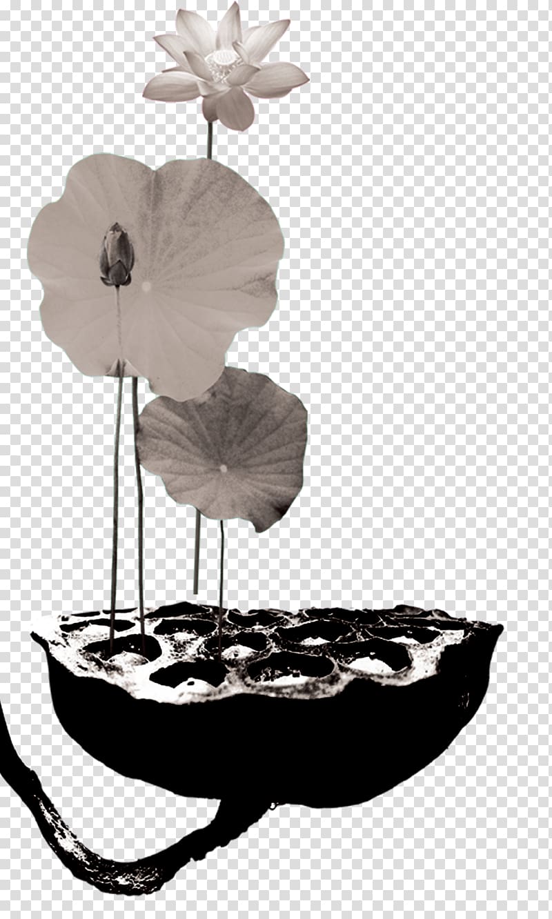 Lotus seed Ink wash painting , Lotus lotus seeds transparent background PNG clipart