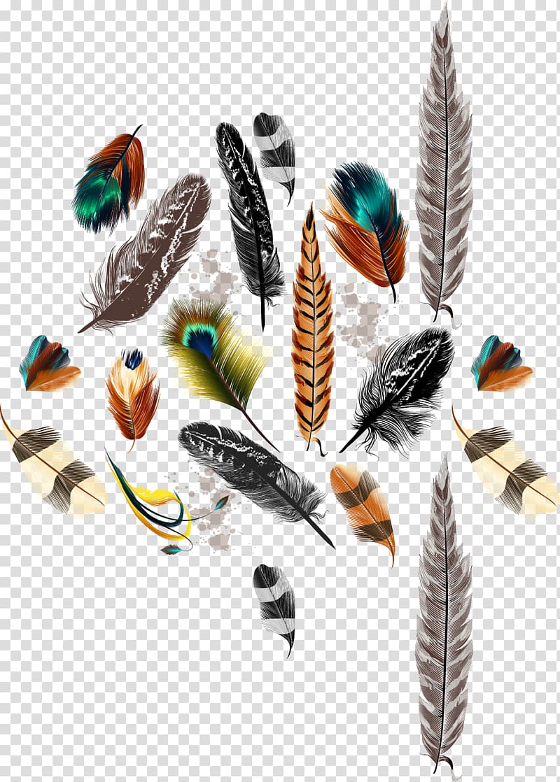 assorted-color feather lot , Bird Feather Drawing Color, feather transparent background PNG clipart