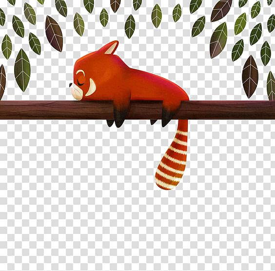 red panda illustration, Red panda Giant panda Raccoon Drawing Illustration, raccoon transparent background PNG clipart