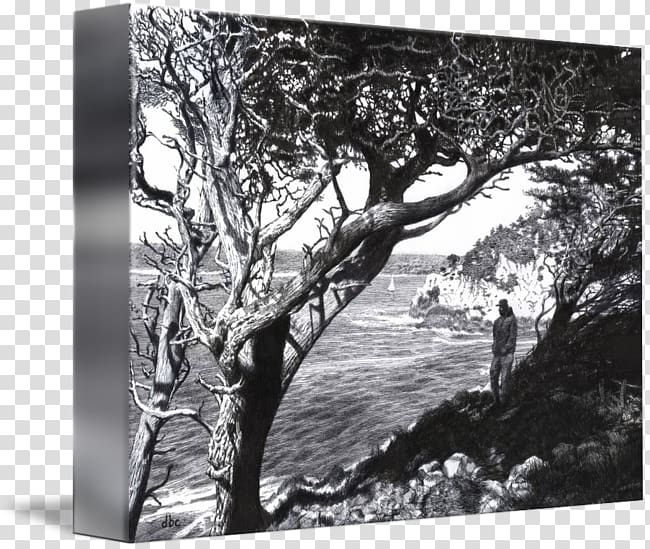 Frames Wood /m/083vt, david blaine transparent background PNG clipart