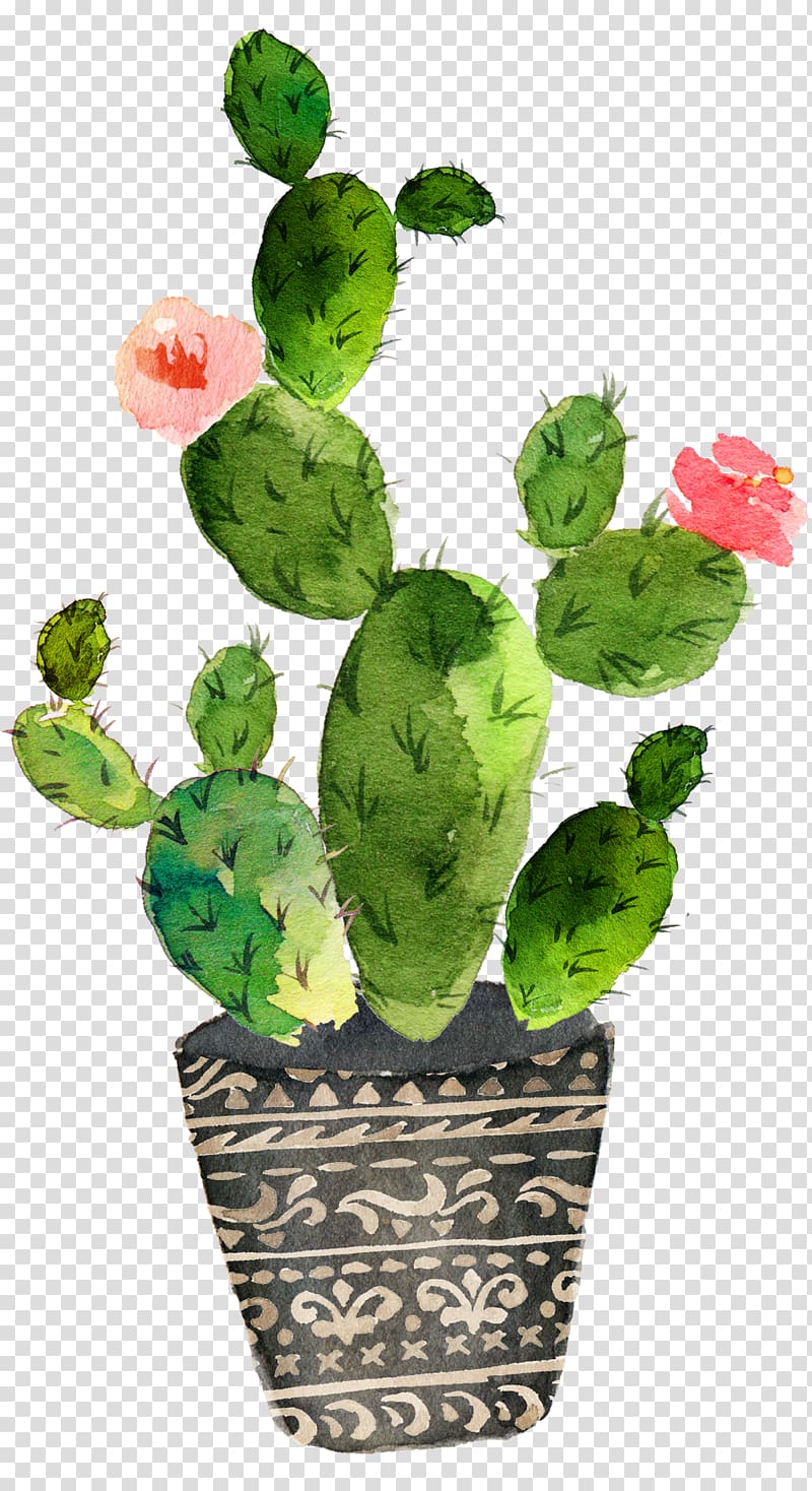 Cactaceae Watercolor painting Succulent plant, cactus, green cactus plant illustration transparent background PNG clipart