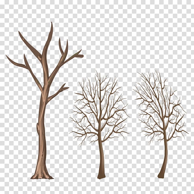 Twig Wood Winter Tree Branch, winter elements transparent background PNG clipart