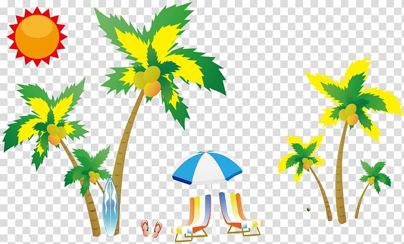 Coconut , Seaside coconut tree transparent background PNG clipart
