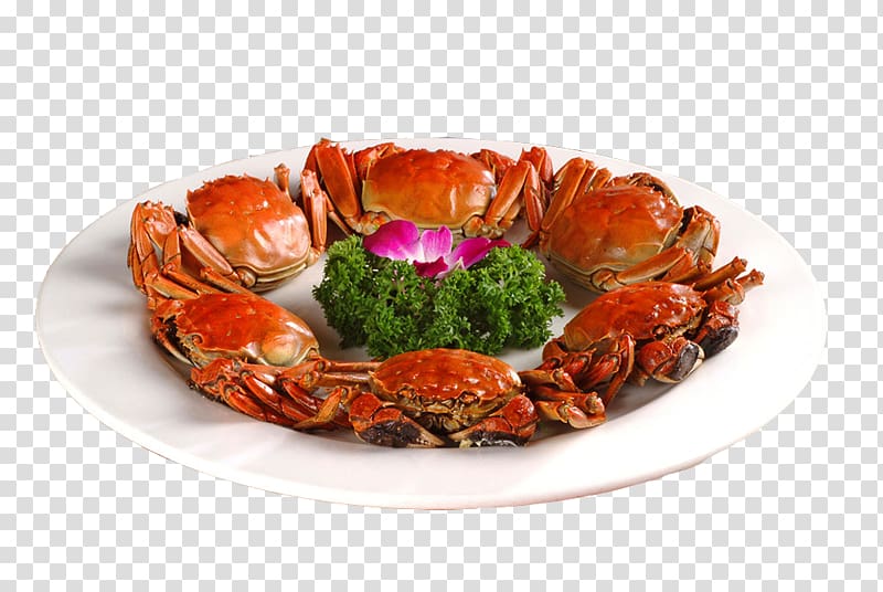 Yangcheng Lake Crab Cozido xe0 portuguesa European cuisine Korean cuisine, Crabs transparent background PNG clipart