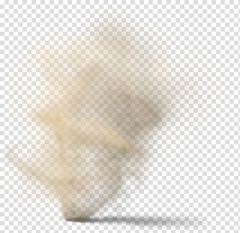 Snout Close-up Fur, Dust In The Wind transparent background PNG clipart