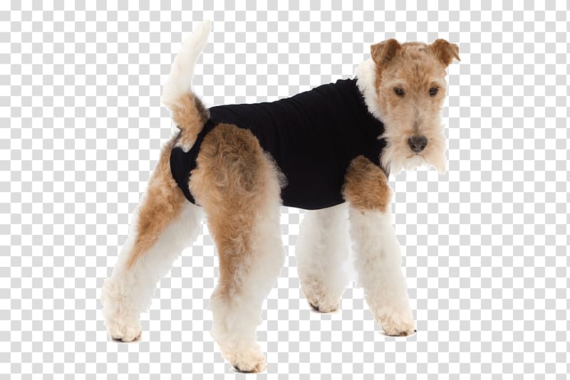 Wire Hair Fox Terrier Elizabethan collar Pet T-shirt Suit, T-shirt transparent background PNG clipart