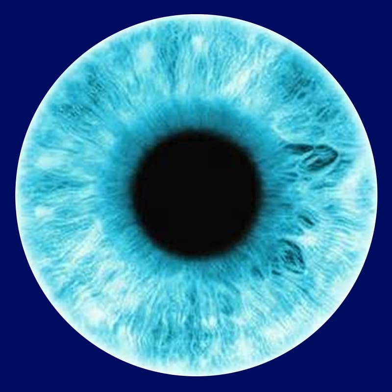 Human eye Iris Pupil, eyes transparent background PNG clipart