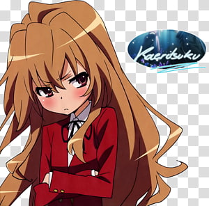 Free download  Taiga Aisaka Toradora! Ryūji Takasu Anime , Anime