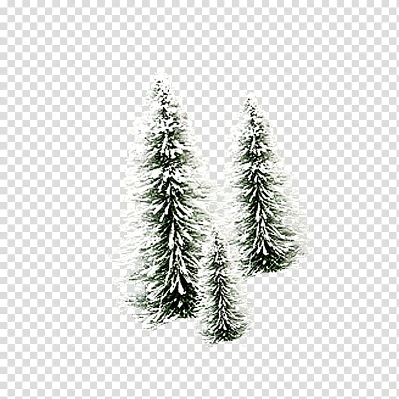 Christmas tree Snow Christmas decoration , Christmas snowy tree material transparent background PNG clipart