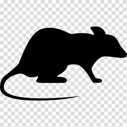 Brown rat Laboratory rat Mouse Rodent, Rat & Mouse transparent background PNG clipart