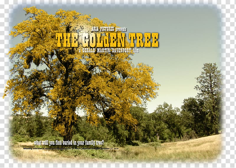 Web design Sacramento Golden Tree Way California Gold Rush, design transparent background PNG clipart