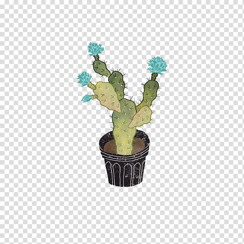 Cactaceae Plant Illustration, Hand-painted flowering cactus transparent background PNG clipart