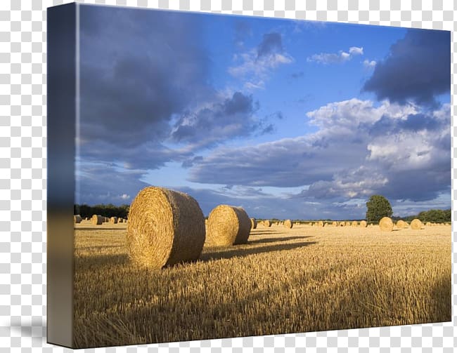 Hay Landscape Straw Farm Baler, others transparent background PNG clipart