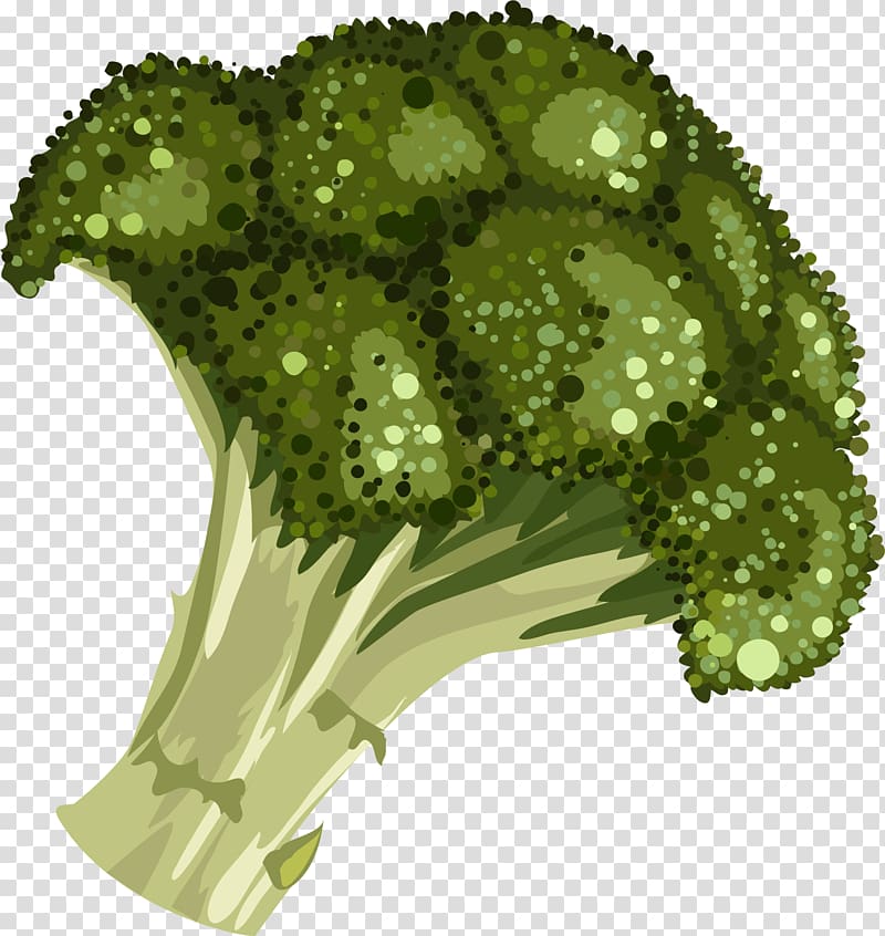 Drawing Illustration, Cartoon hand-painted broccoli transparent background PNG clipart