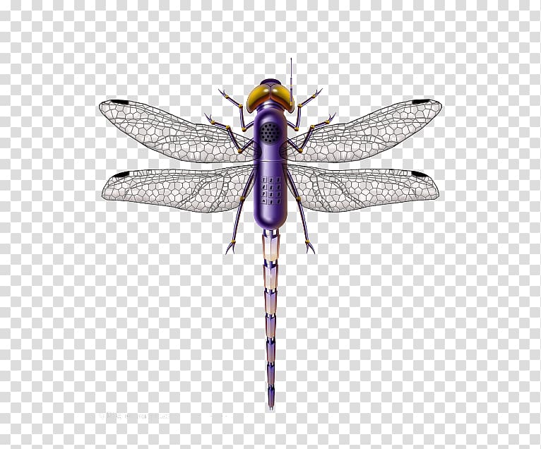 Dragonfly Insect Purple, Not the same material dragonfly transparent background PNG clipart