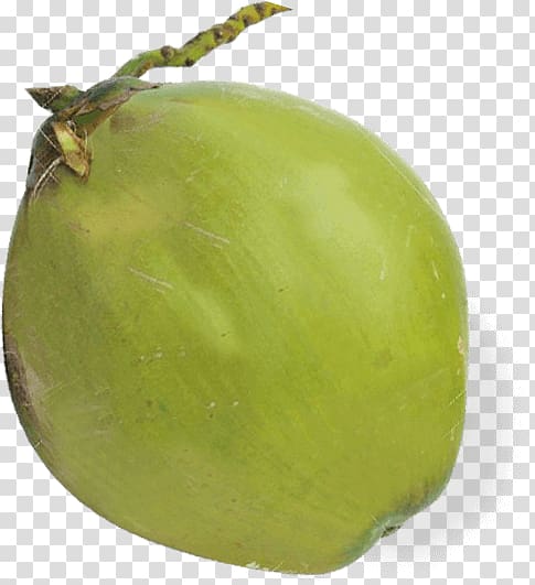Tomatillo Fruit, Coconut husk transparent background PNG clipart