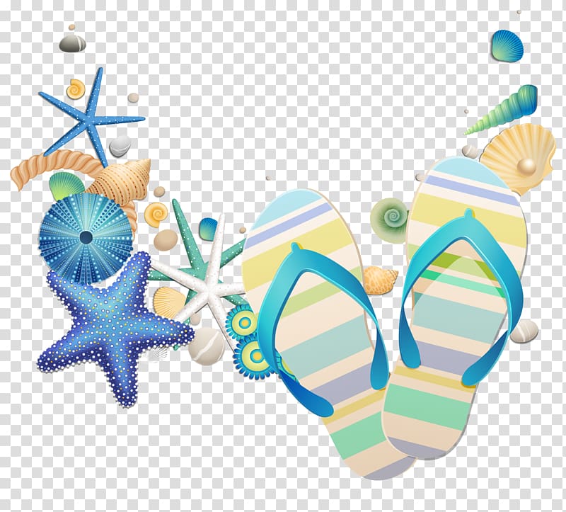 pair of blue flip-flops with sea shells art, Seashell Poster, Fresh summer shell transparent background PNG clipart