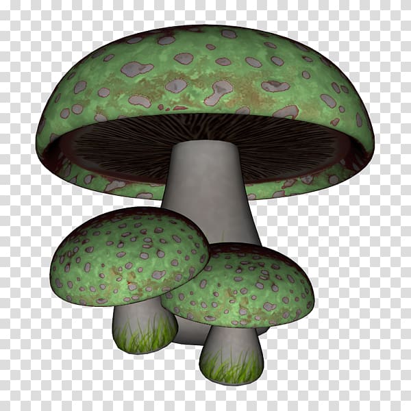 Mushroom Green Fungus Gratis, Green mushrooms transparent background PNG clipart